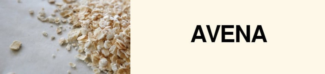 banner_avenalc8