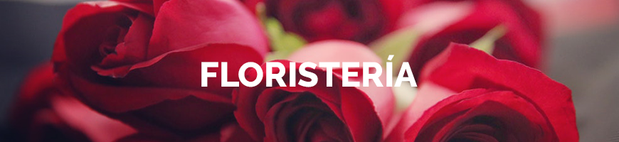 Floristeria- tunicaragua.com