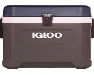 156187561