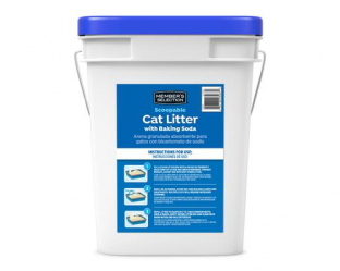 carenacat2
